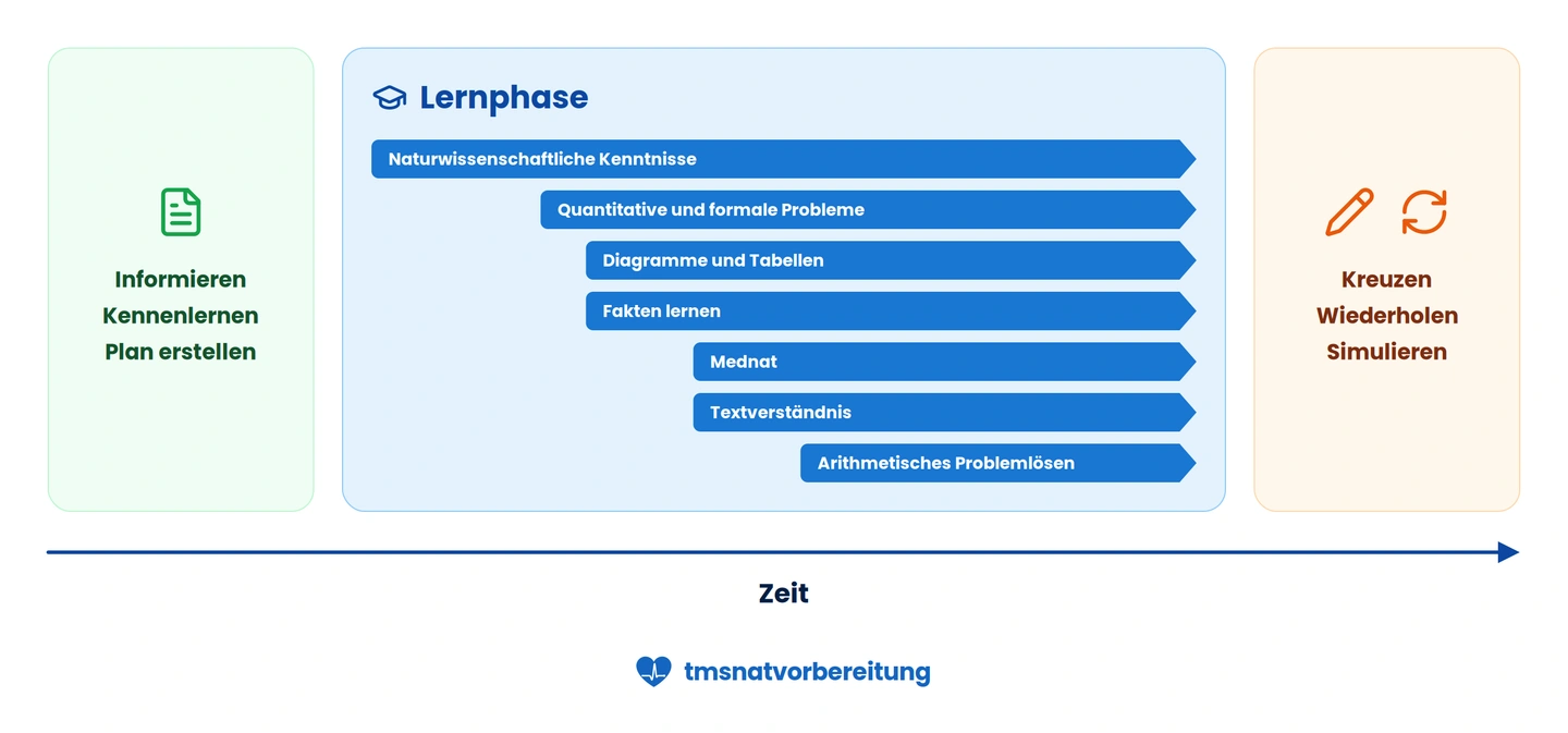 Drei Phasen der TMS-Vorbereitung entlang einer Zeitachse: Informieren, Lernphase mit Testkategorien und Kreuzen/Wiederholen.