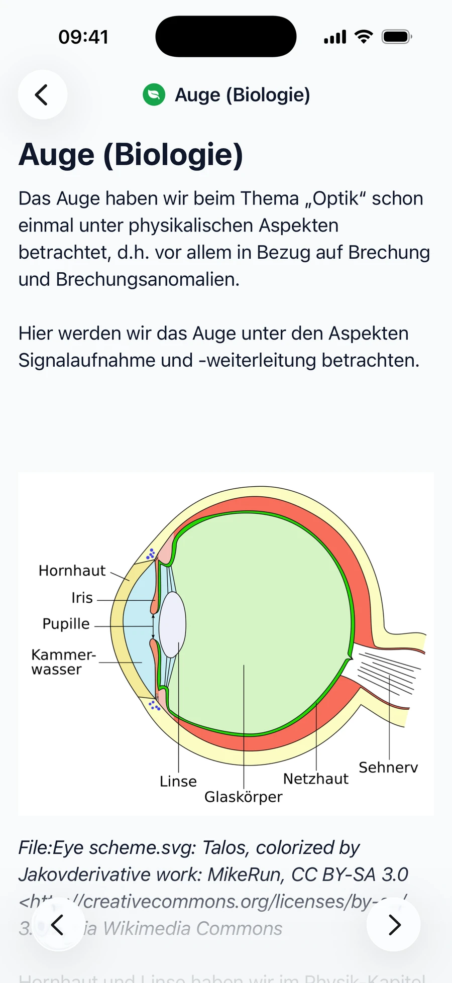 Ein Lehrbuch-Kapitel zum Auge mit beschrifteter Abbildung in der TMSnat App